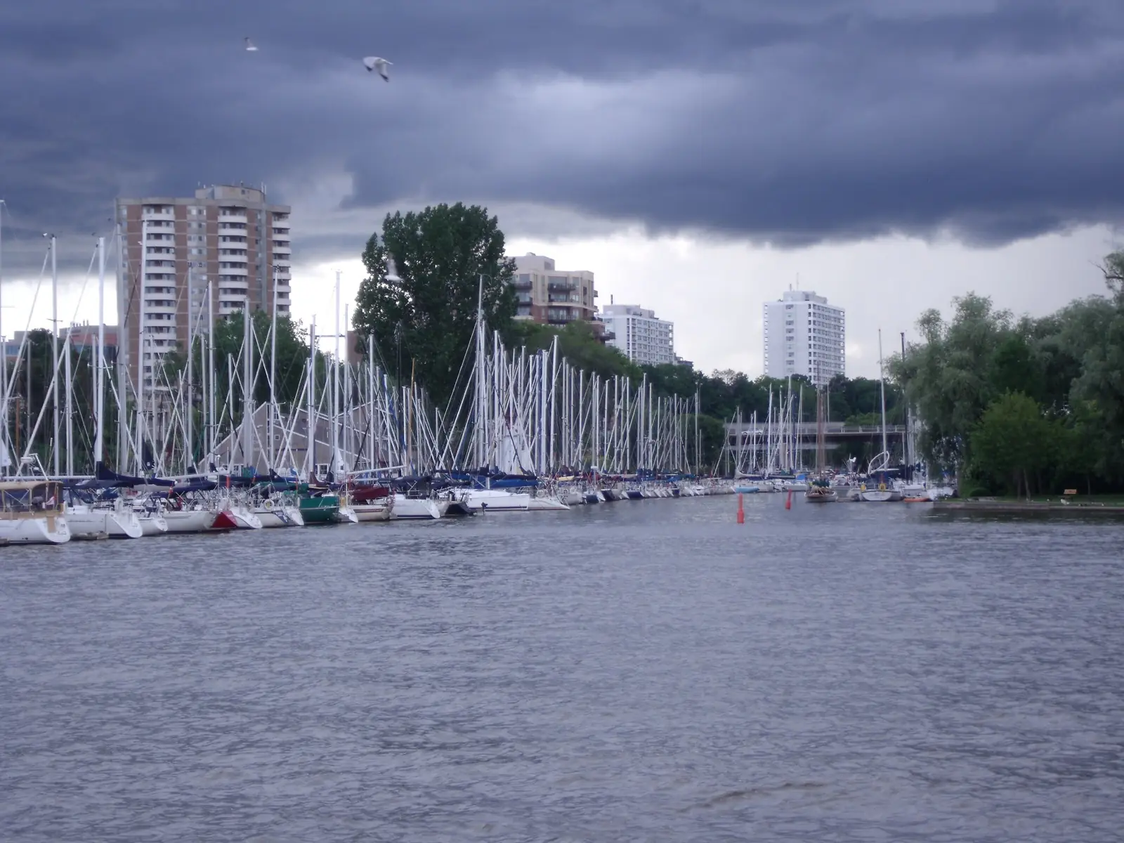 Sailboats moored in Oakville Harbour
